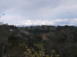 -33063065_1920x1440_43.webp