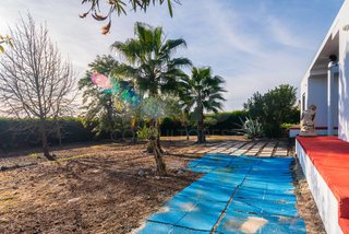 -33063176_wm-a7f7edc43c-4dcaa63987.webp
