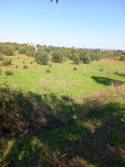 -33063211_wm-d3addefe06-4dcaa63987.webp