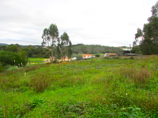 -33063358_wm-3c3af22a07-4dcaa63987.webp