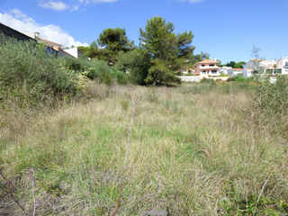 -33063386_wm-b613f6a58e-4dcaa63987.webp
