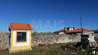 -33063399_wm-8ac82a4662-4dcaa63987.webp