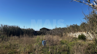 -33063399_wm-a2cb8665ff-4dcaa63987.webp