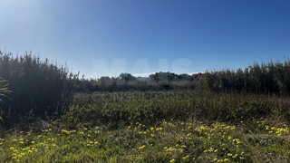 -33063399_wm-c88939ca3d-4dcaa63987.webp
