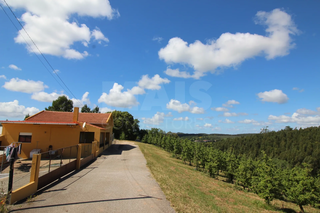 -33063429_1920x1280_32.webp