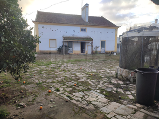 -33063547_wm-a048483ede-4dcaa63987.webp