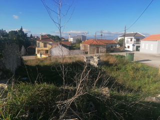 -33063612_wm-c5a31bdd23-4dcaa63987.webp