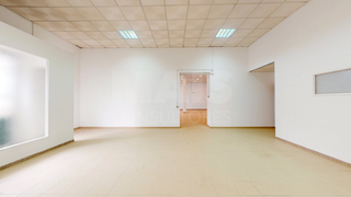 -33063614_wm-37c8b39911-4dcaa63987.webp