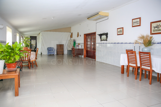 -33063747_wm-d42a5d9c67-4dcaa63987.webp