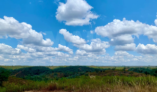 -33064245_1920x1123_127.webp