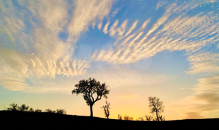 -33064245_1920x1147_53.webp
