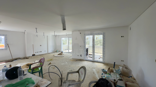 -33064398_wm-fcfef5a435-4dcaa63987.webp