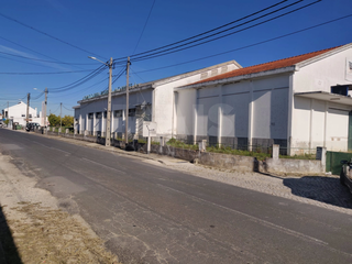 -33064428_wm-55195de1a6-4dcaa63987.webp