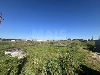 -33064443_wm-5a8aad3953-4dcaa63987.webp
