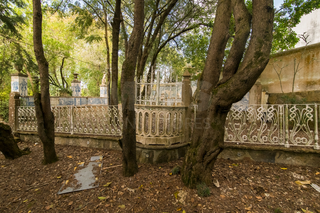 -33064497_wm-ea1641a577-4dcaa63987.webp