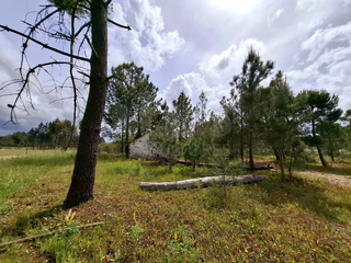 -33064523_wm-140965d5a8-4dcaa63987.webp