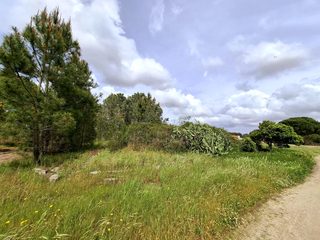 -33064523_wm-3f131a6537-4dcaa63987.webp
