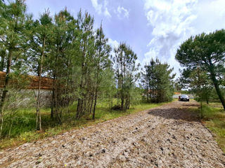 -33064523_wm-4c729003a8-4dcaa63987.webp