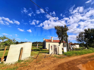 -33064671_wm-a6437542f3-4dcaa63987.webp