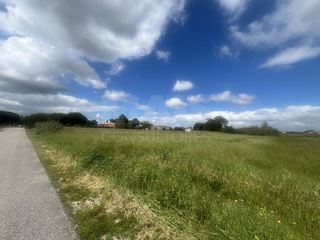 -33064715_wm-b22f0e2b46-4dcaa63987.webp