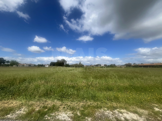 -33064715_wm-b6b6deb3c9-4dcaa63987.webp