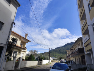 -33064754_wm-5f87070815-4dcaa63987.webp
