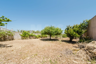 -33064832_wm-f2ca358c29-4dcaa63987.webp