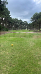 -33064845_wm-0ce803dffb-4dcaa63987.webp