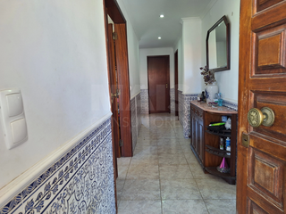 -33064961_wm-45af90c970-4dcaa63987.webp