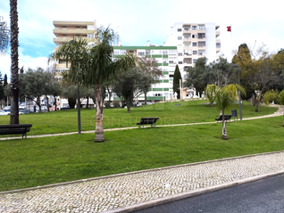 -33065001_wm-9ad2c90109-4dcaa63987.webp