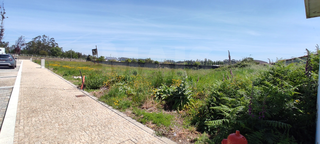 -33065039_wm-f3382a873d-4dcaa63987.webp