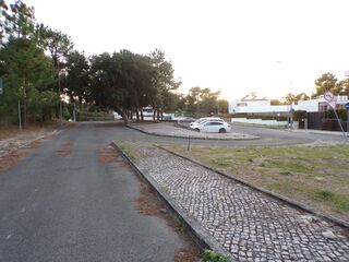 -210143635_ID7c636601-0000-0500-0000-000013d5805a.jpg