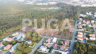 1000019749_vid_20241117_162902_0048.00_02_04_23.quadro002.jpg