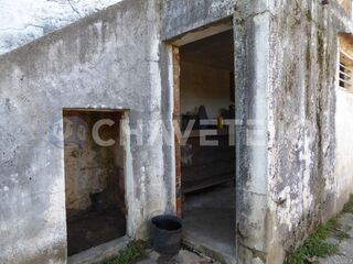 -209842765_ID40a35e01-0000-0500-0000-0000103674ec.JPG