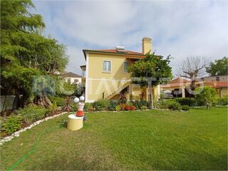 -211694835_IDf12b8601-0000-0500-0000-00001432ea88.jpg