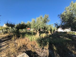 -15506424_Moradia-RSJ-18.jpg