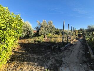 -15506424_Moradia-RSJ-5.jpg