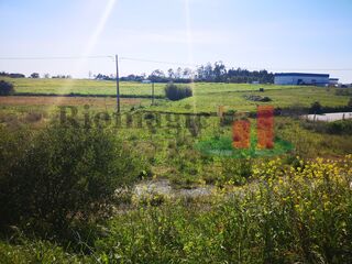 -198035753_ID9c238d00-0000-0500-0000-00000de43ba4.jpg