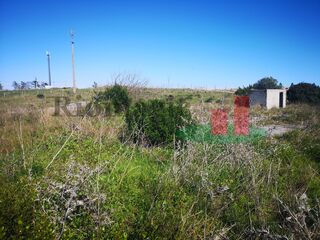 -198035753_ID9c238d00-0000-0500-0000-00000de43ba8.jpg