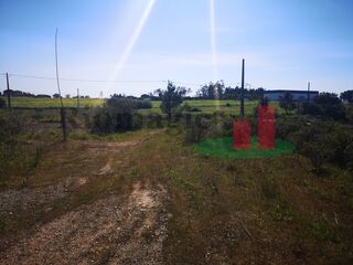 -198035753_ID9c238d00-0000-0500-0000-00000de43baf.jpg