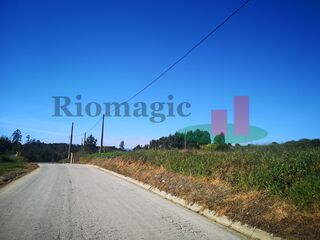 -198035753_ID9c238d00-0000-0500-0000-00000de43bb5.jpg