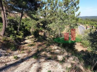-198752878_IDa5849b00-0000-0500-0000-0000054e8c06.jpg
