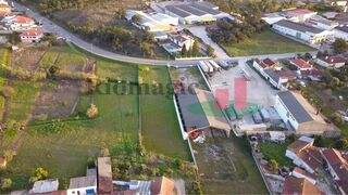 -199174568_IDcdf6a500-0000-0500-0000-00000f2b0cb4.jpg
