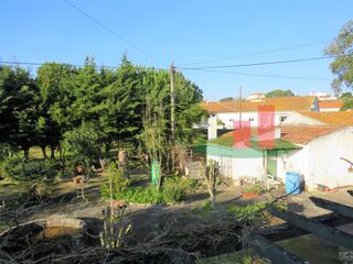 -203941971_ID5df9f400-0000-0500-0000-000009797541.jpg