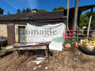 -205064308_ID25e50601-0000-0500-0000-000011961266.jpg