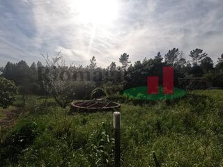 -205064308_ID25e50601-0000-0500-0000-000011961292.jpg