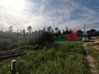 -205064308_ID25e50601-0000-0500-0000-000011961293.jpg