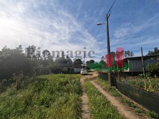 -205064308_ID25e50601-0000-0500-0000-000011961294.jpg