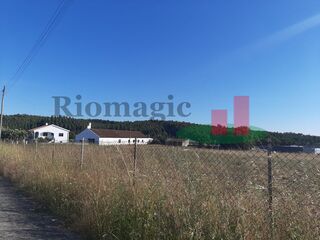 -206412065_IDe02c1c01-0000-0500-0000-00000b9ca3c3.jpg
