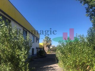-207424433_ID2e492c01-0000-0500-0000-00000c8791ba.jpg
